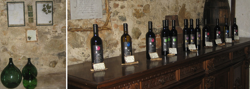 Azienda Agricola Mazzarri - Produzione e vendita vini D.o.c. e olio extravergine d'oliva dell'Isola d Elba