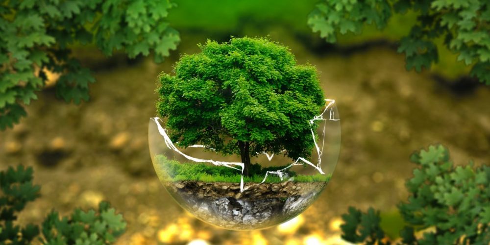 Ecogest Ambiente - Consulenza e servizi ambientali